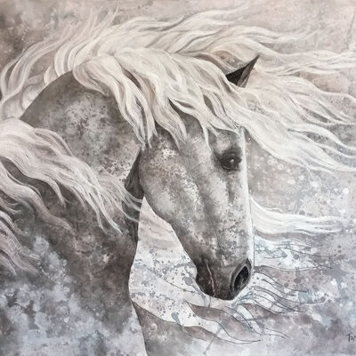 Stardust Stallion
