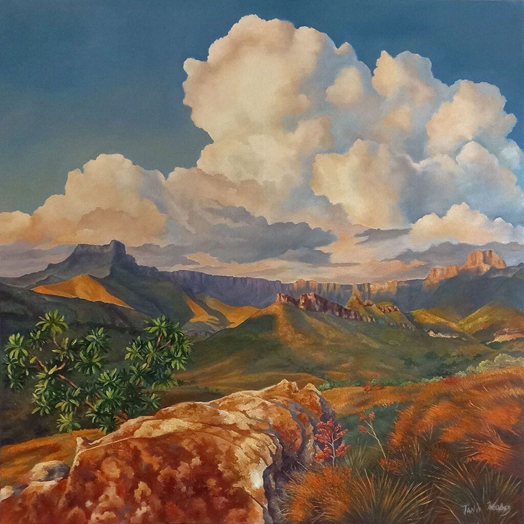 Drakensberg-rock-1024x1024.jpg